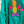 Camisa verde bordada spring