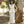 Conjunto Gene Blanco