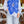 Camisa flor azul