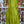 Vestido cuatro volantes