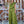 Conjunto color raso