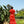 Vestido Aibo