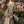 Vestido Bord largo estampado para eventos